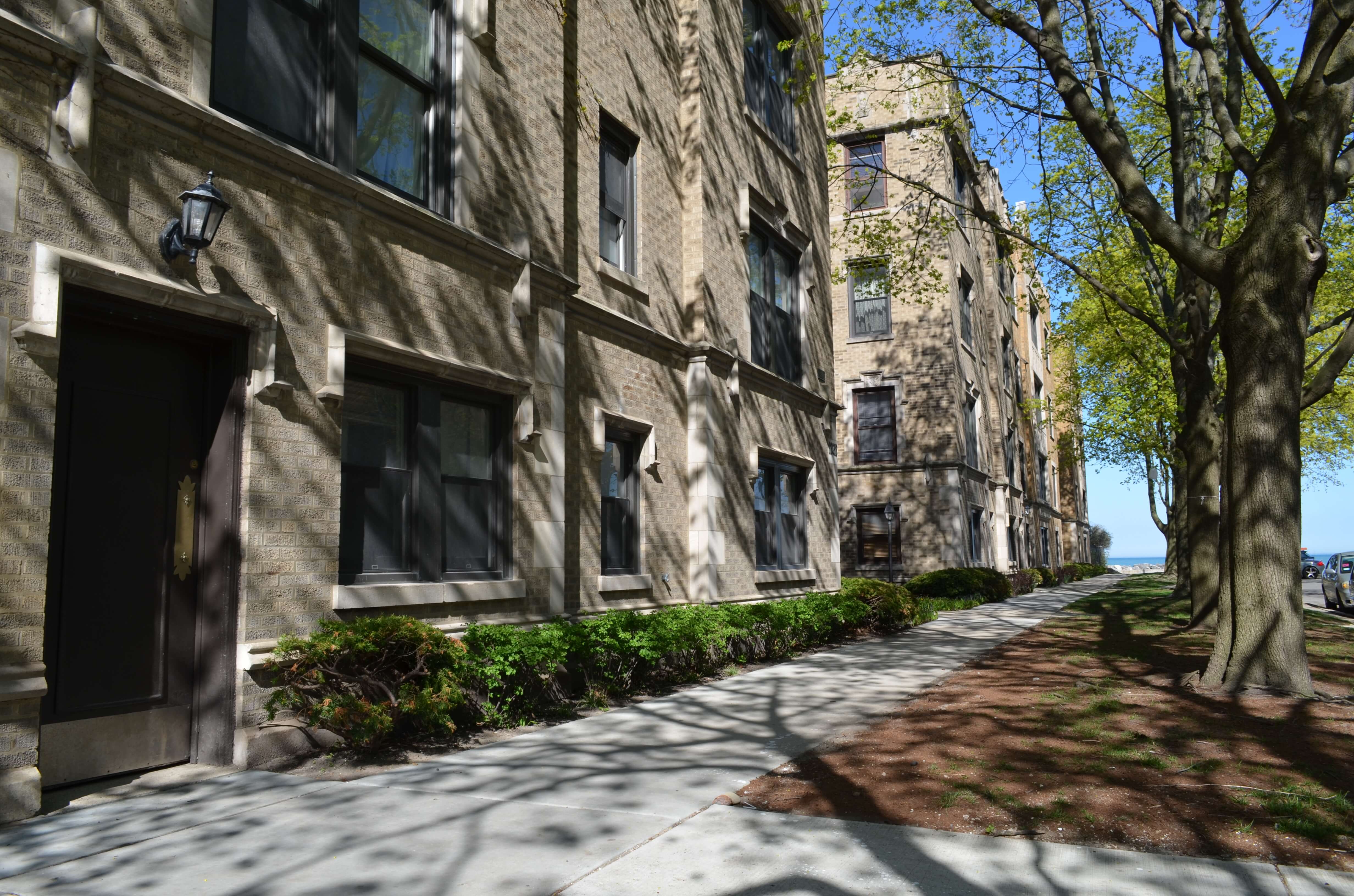 Tree-lined walkway beside the building